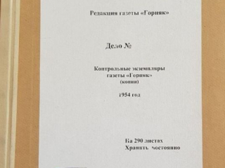 Горняк2